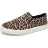Oatmeal Cheetah